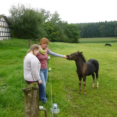Ferienhof Frohne - Grosser Ferkelstall *