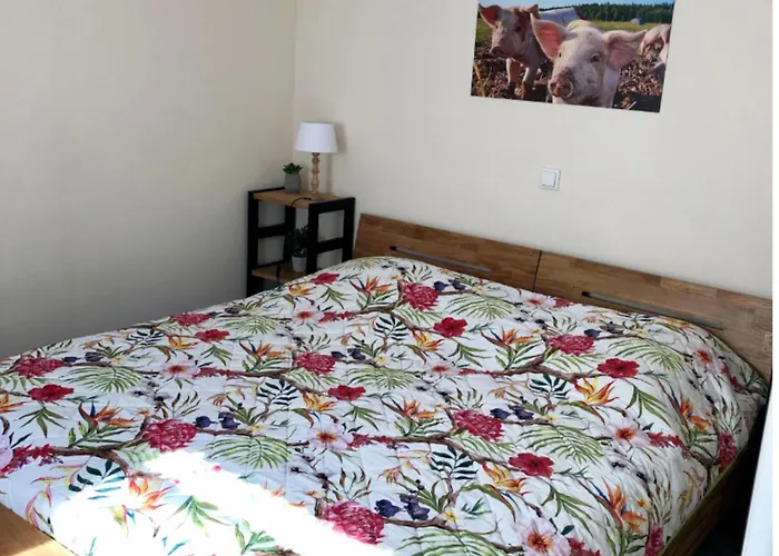 Frohne - Grosser Ferkelstall Apartman Merzen